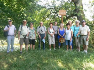 2015-07_rando